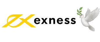 Understanding Exness Server Ping and Its Impact on Trading Performance
