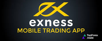 Explore the Variety of Exness Trading Instruments Explore the Variety of Exness Trading Instruments