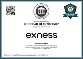 Understanding Exness Deposit Problems Solutions and Tips