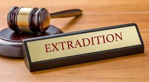 Ensuring Business Integrity Comprehensive Legal Safeguards for Companies