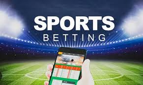 The Rise of Q8 Bet A New Era in Online Betting